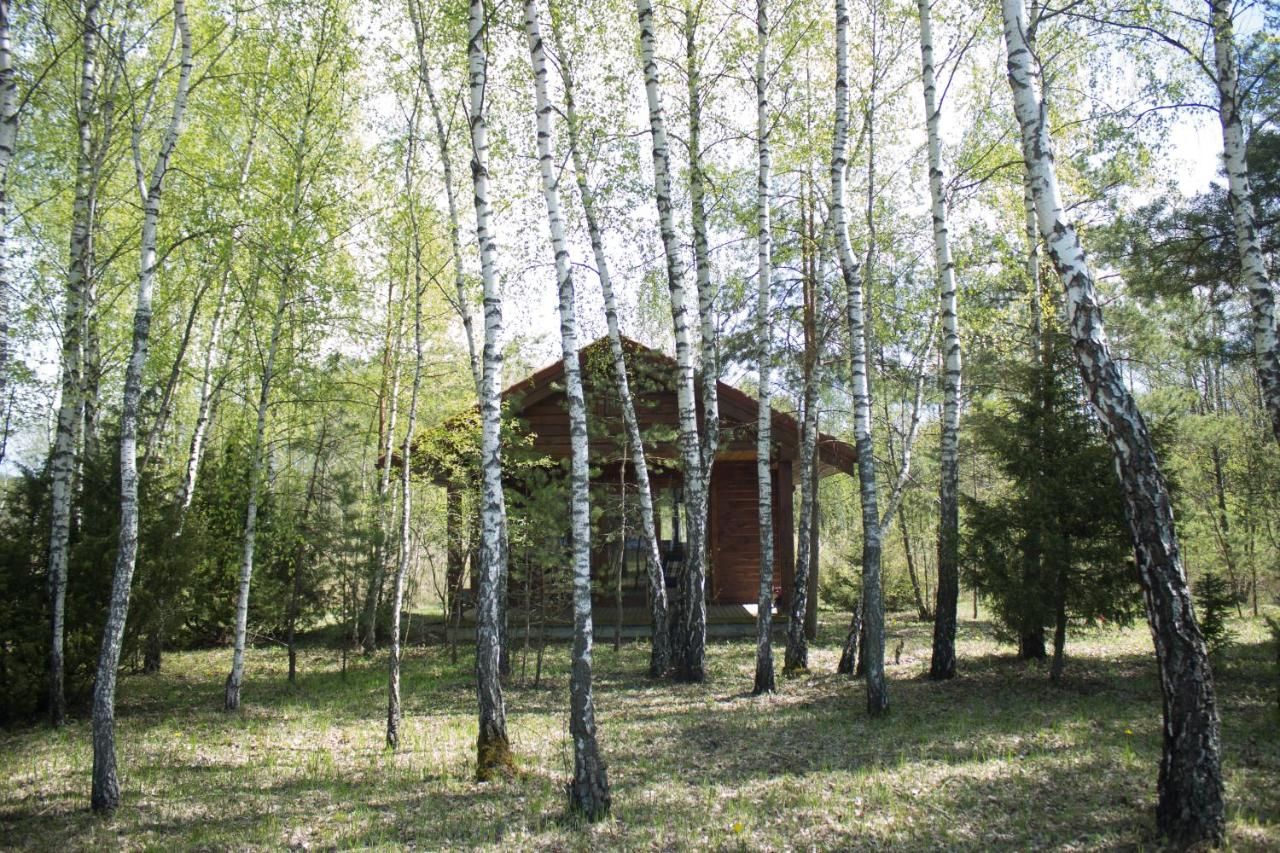 Лоджи Cozy remote cabin on a lakeshore Kučiūnai