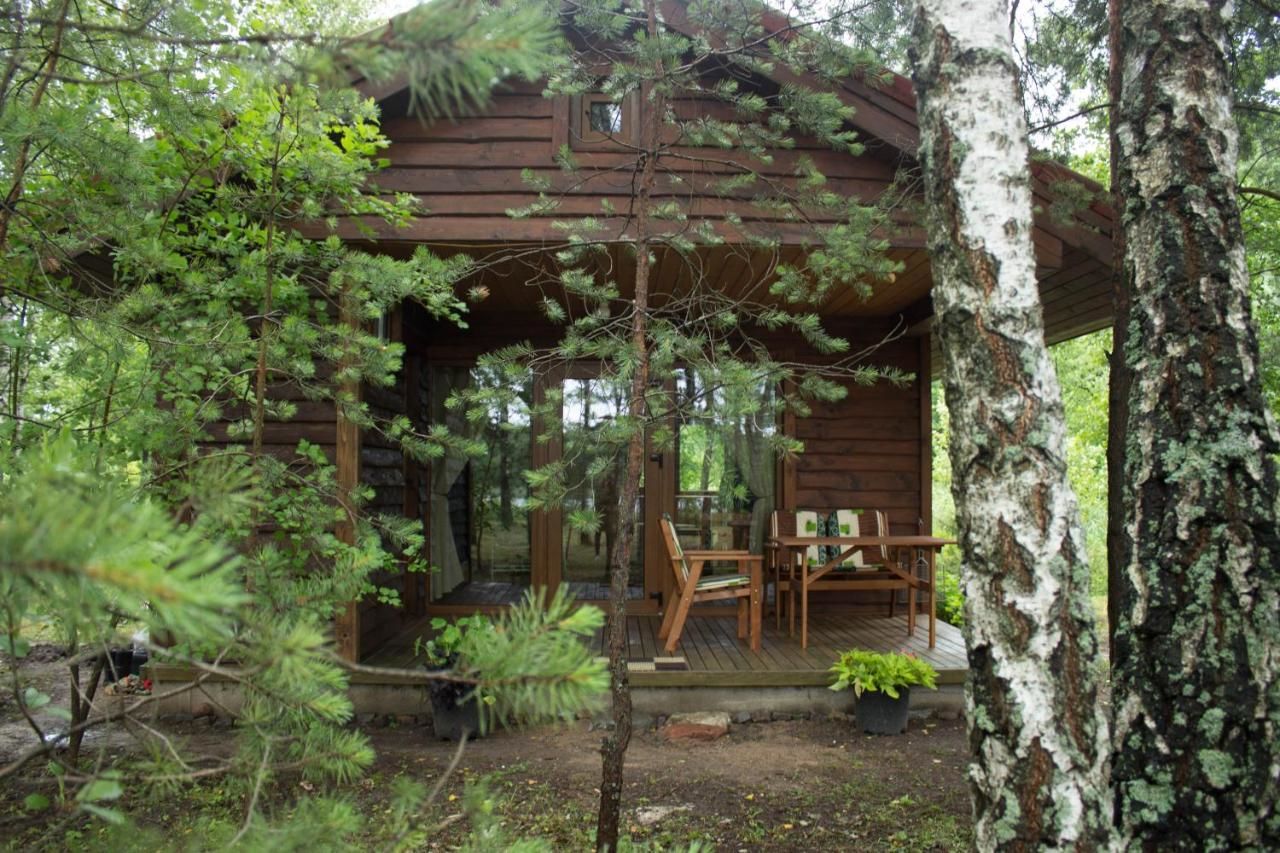 Лоджи Cozy remote cabin on a lakeshore Kučiūnai-22