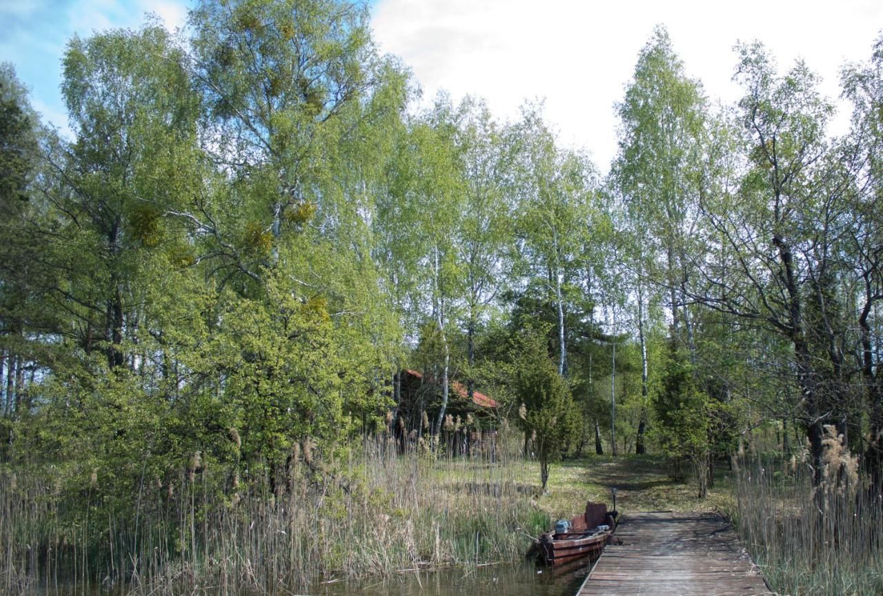 Лоджи Cozy remote cabin on a lakeshore Kučiūnai-27