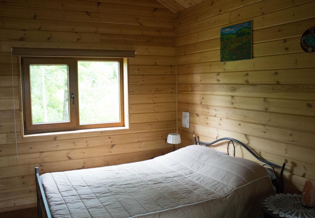 Лоджи Cozy remote cabin on a lakeshore Kučiūnai-29