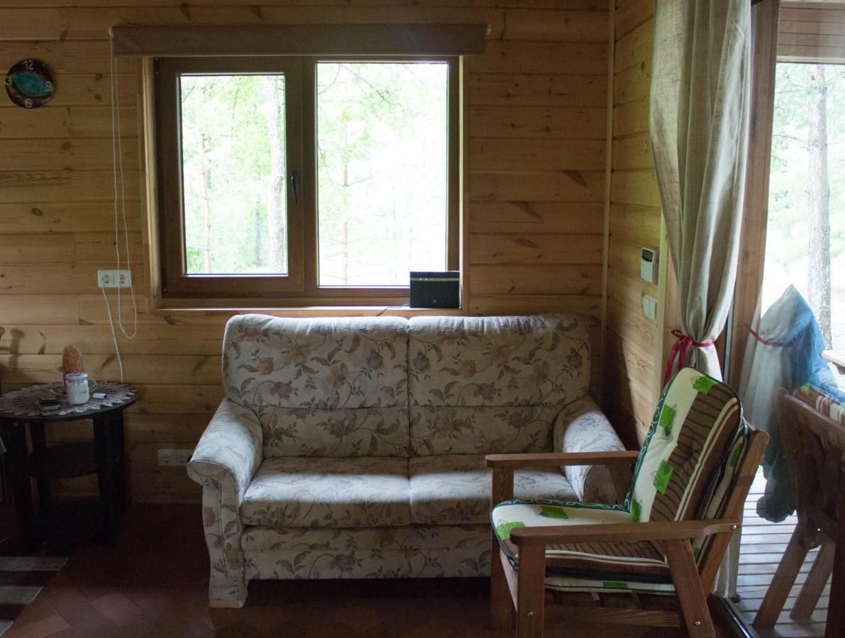 Лоджи Cozy remote cabin on a lakeshore Kučiūnai-32