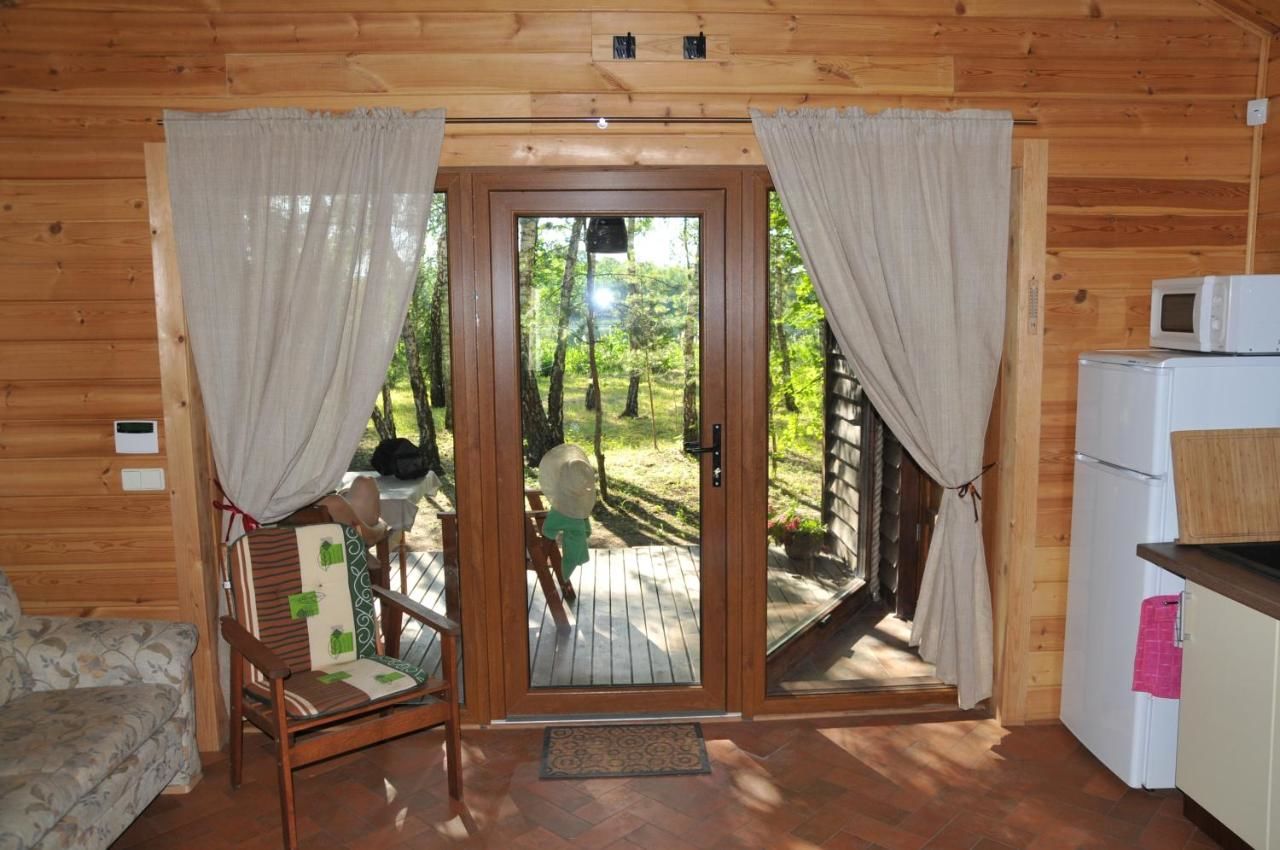 Лоджи Cozy remote cabin on a lakeshore Kučiūnai-12