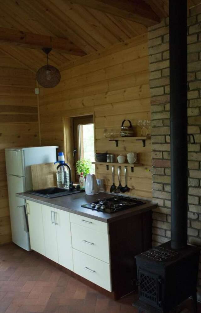 Лоджи Cozy remote cabin on a lakeshore Kučiūnai-29