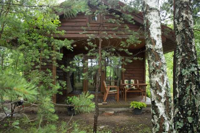 Лоджи Cozy remote cabin on a lakeshore Kučiūnai-50